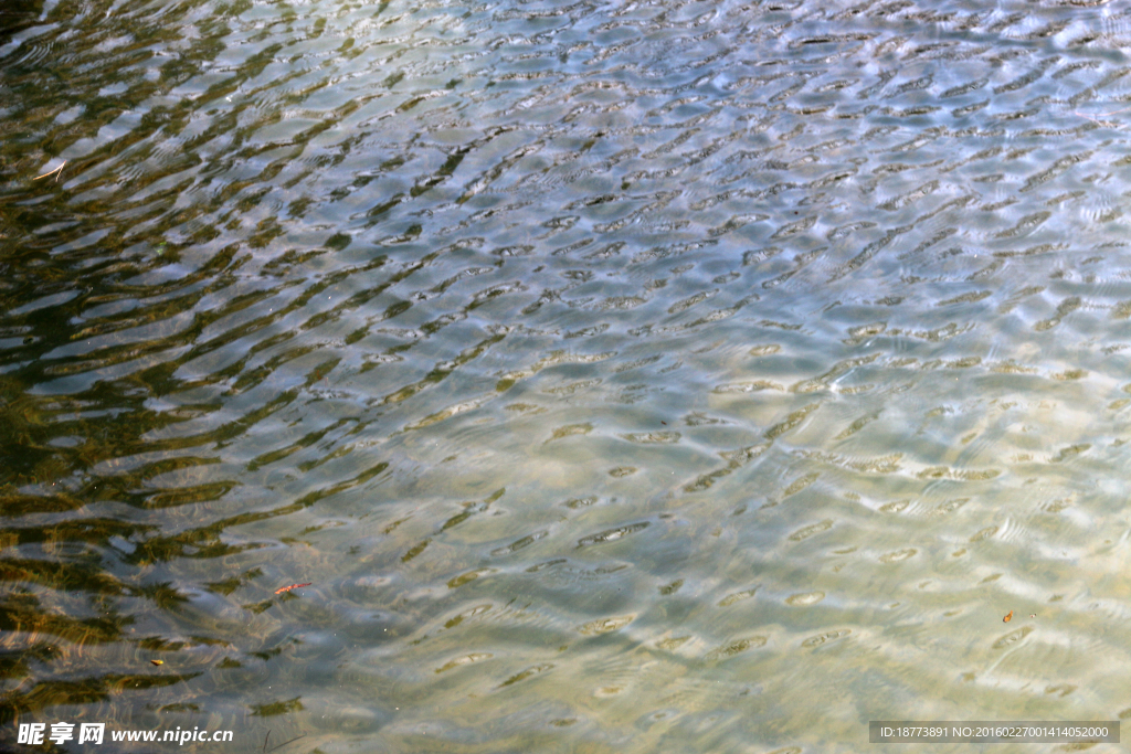 微风吹过的水面