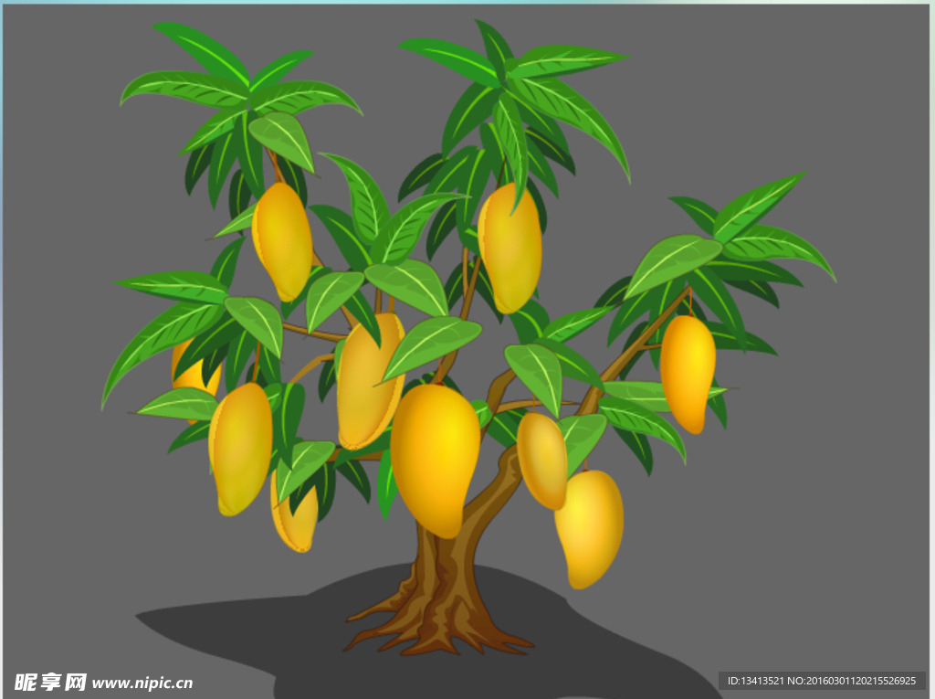 成熟的芒果树flash植物素材
