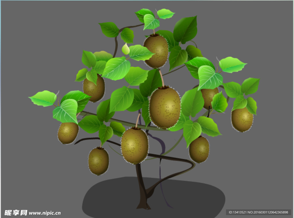 猕猴桃植物flash动画源文件