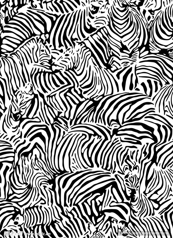 黑白斑马纹理