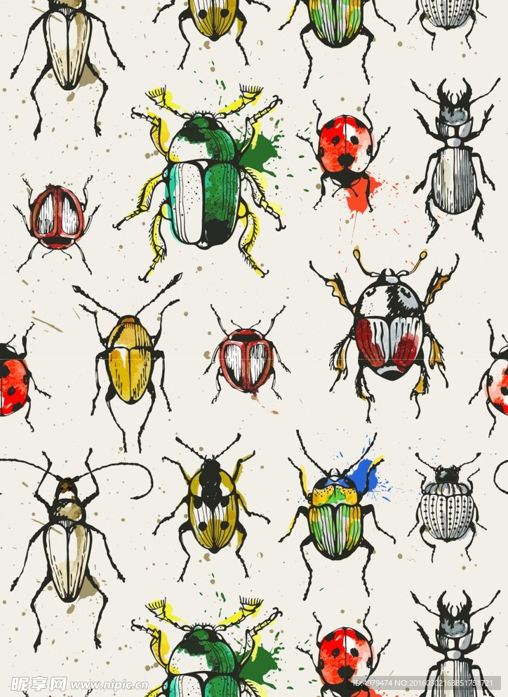 水彩 彩色 昆虫