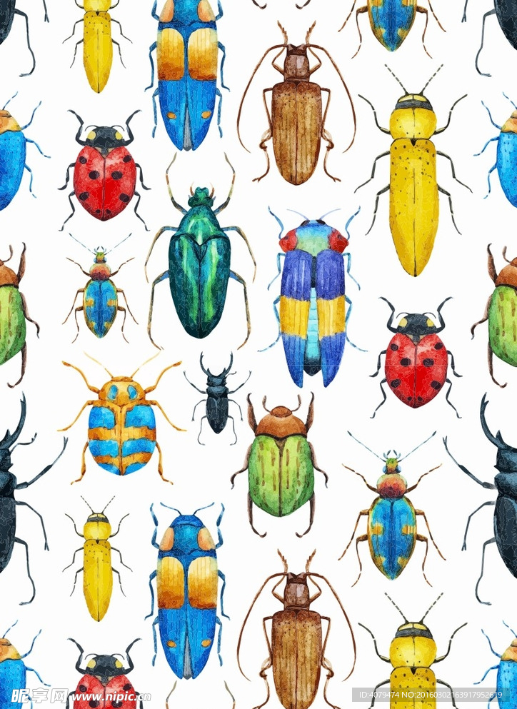 水彩 彩色 瓢虫 昆虫