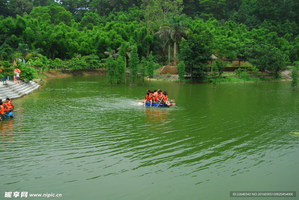 翠绿的湖泊风光