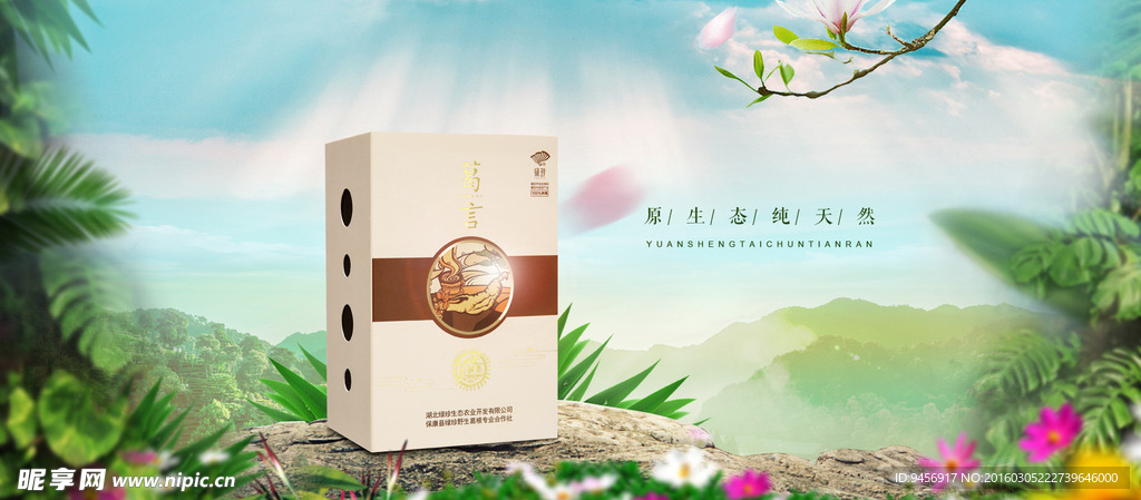 春季风格葛根茶横幅