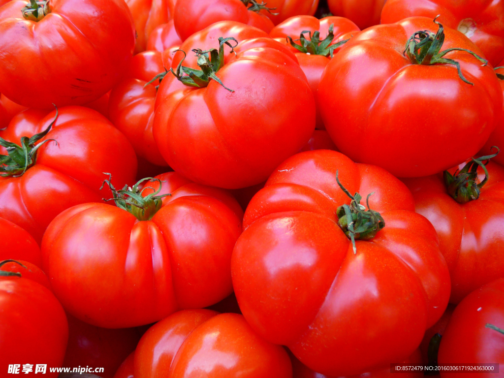 一堆西红柿