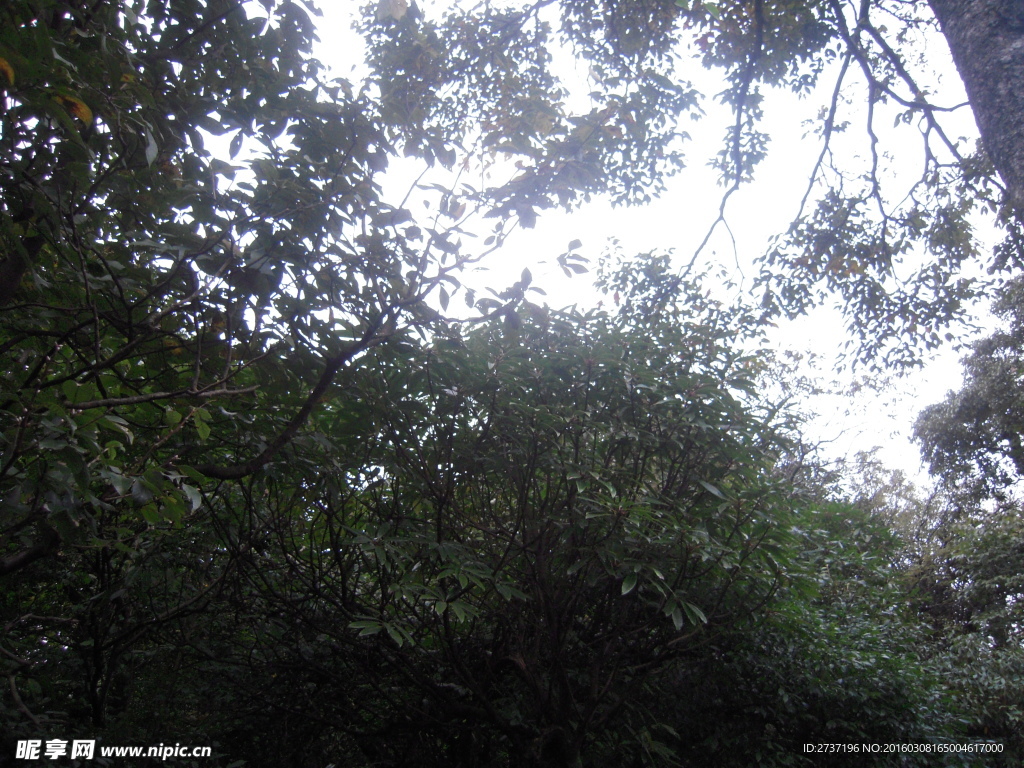 天门山森林公园