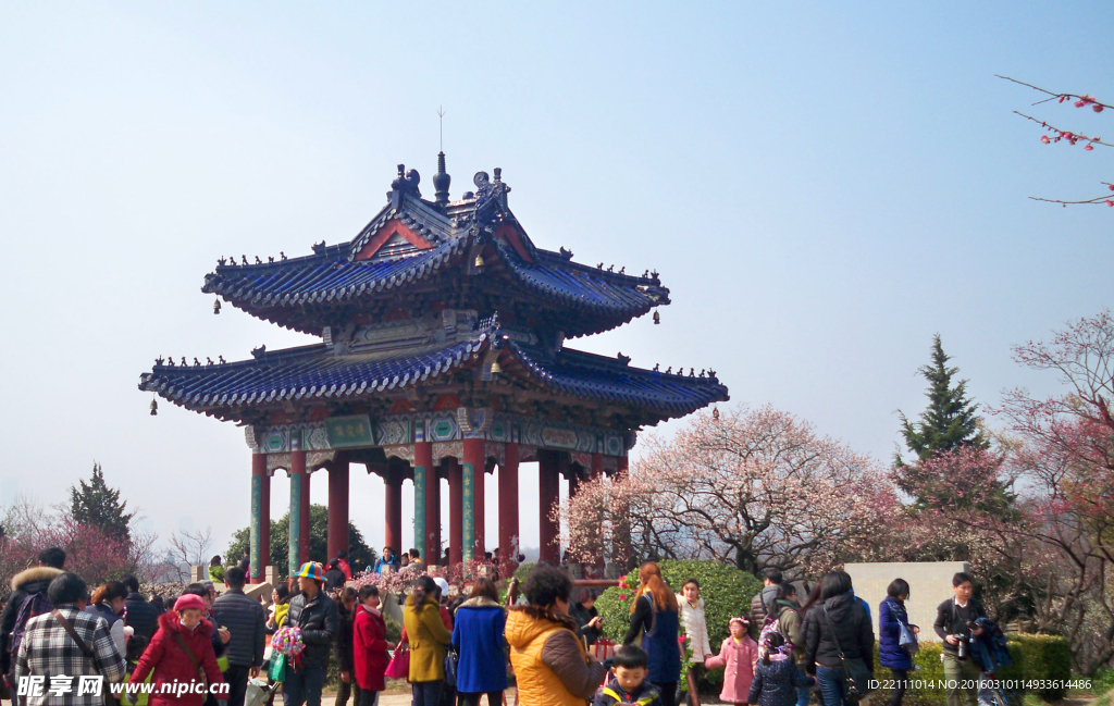 南京梅花山 梅亭