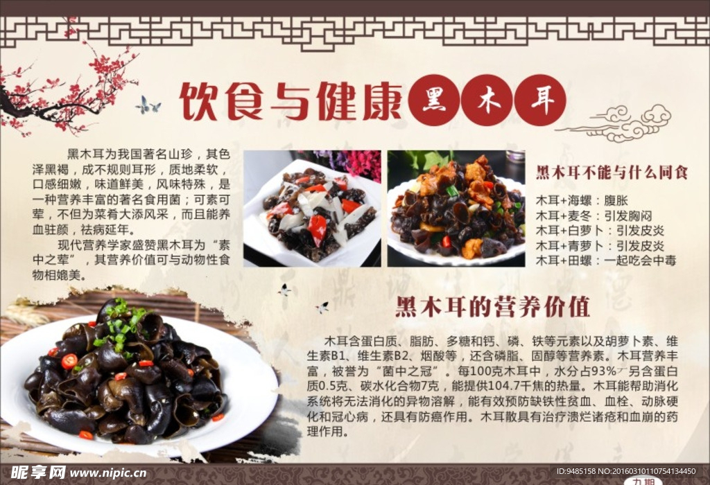 饮食与健康 健康教育栏