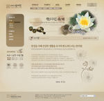 韩国网站设计模板