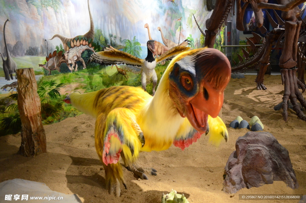 武汉科技馆 鸟类