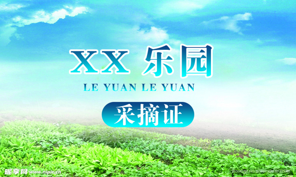 蓝天 采摘  菜园  菜地