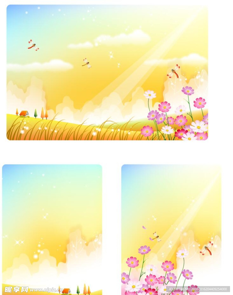 花朵 蜻蜓 背景