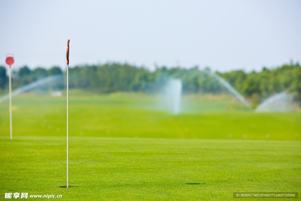 高尔夫球场