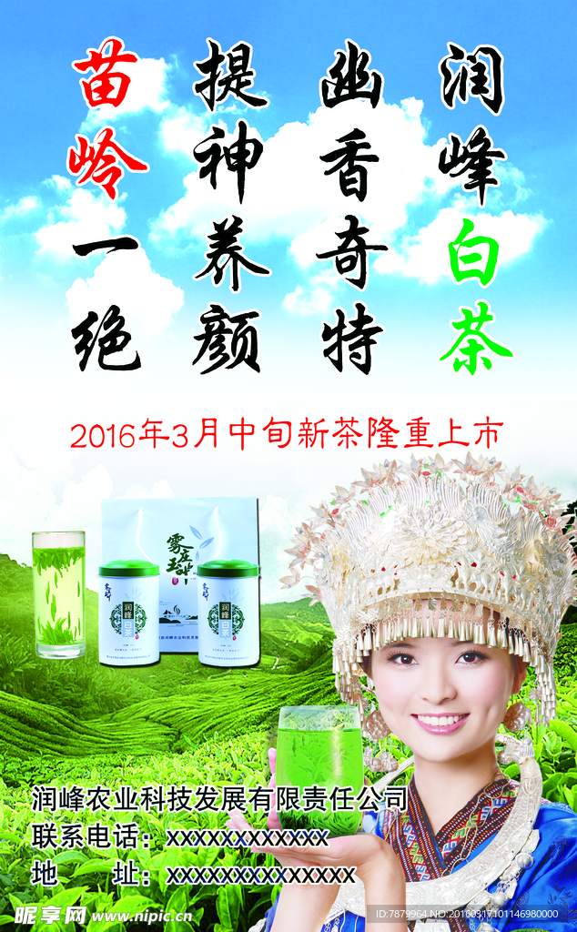 茶叶宣传画