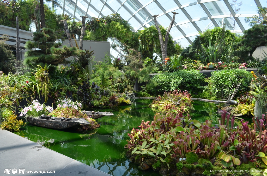 新加坡滨海植物园
