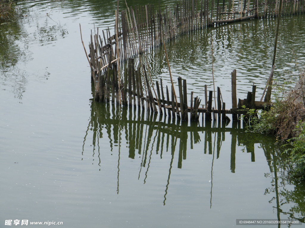 水塘篱笆