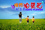 咱们一起去看油菜花海报设计