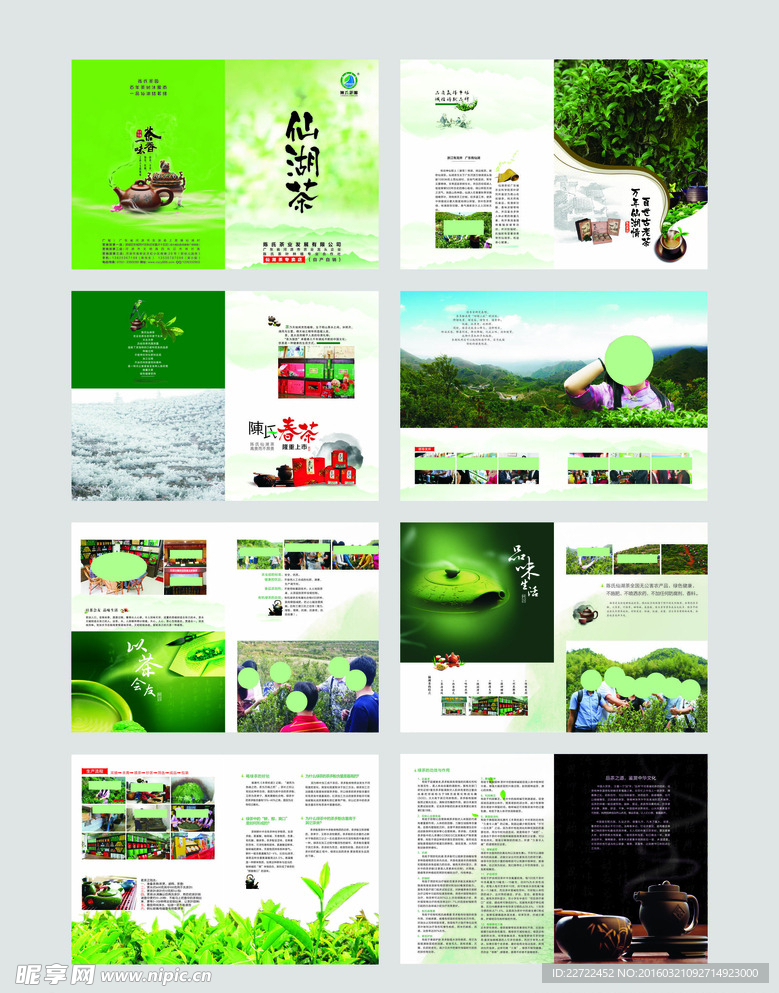 茶叶画册
