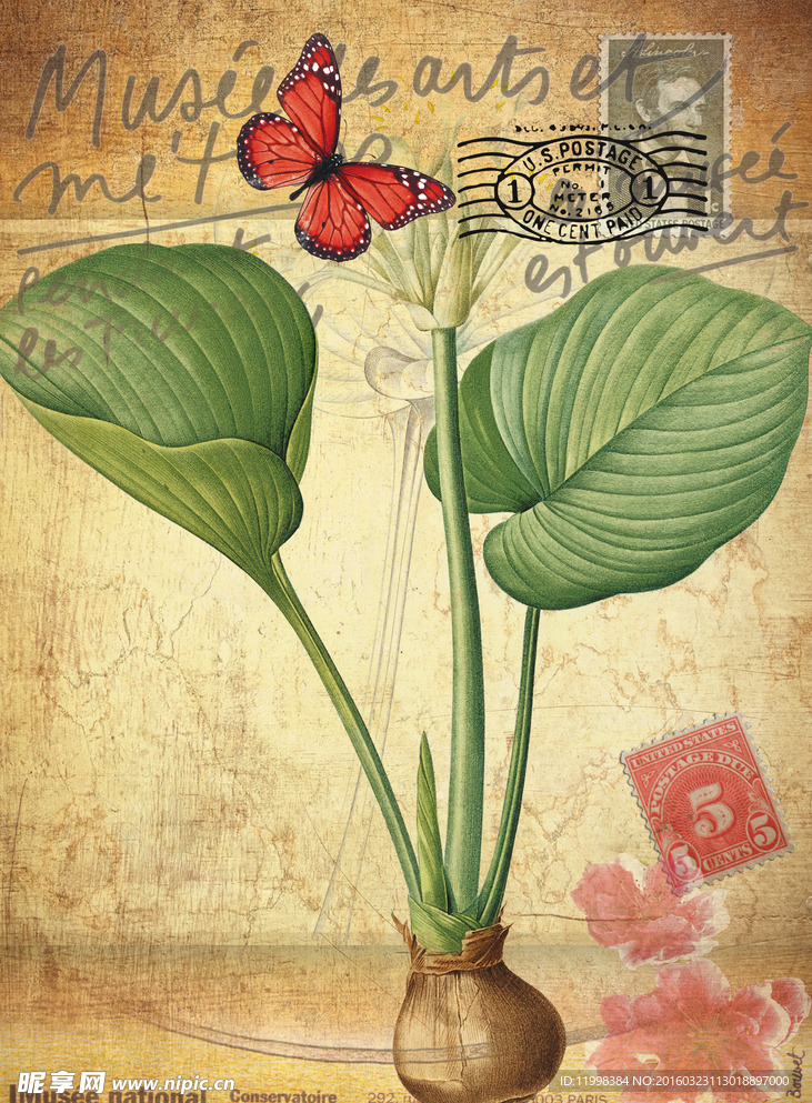 手绘花卉装饰画