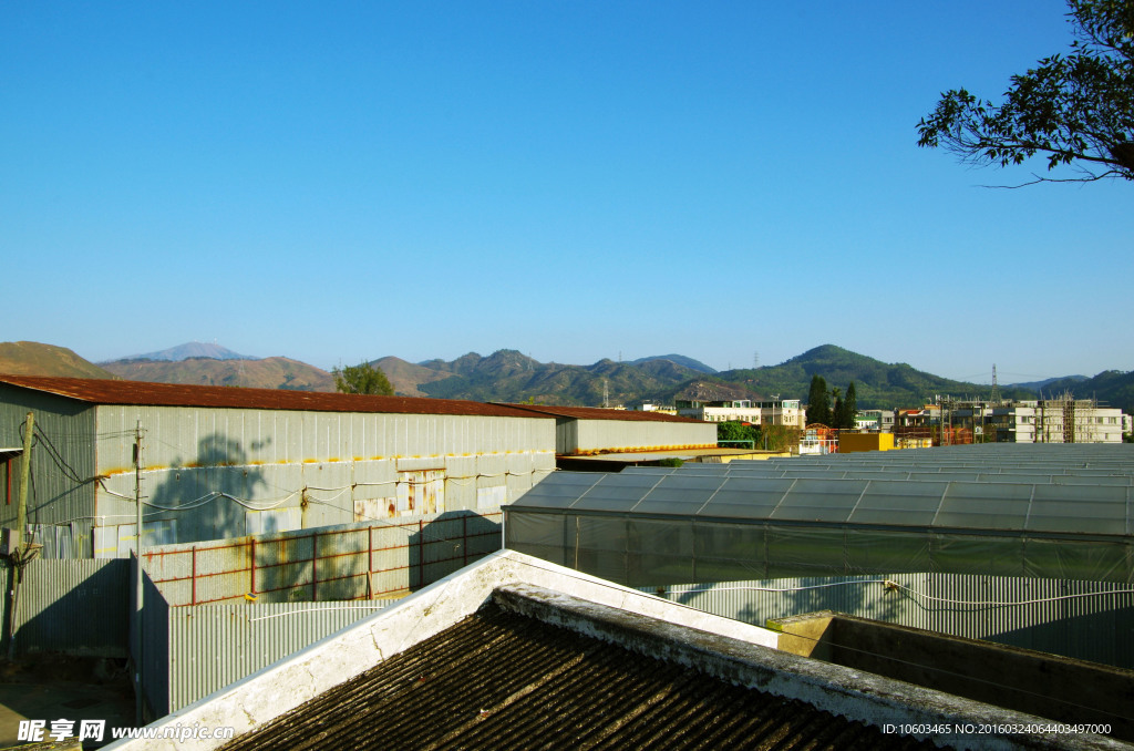 乡村建筑 有机菜棚