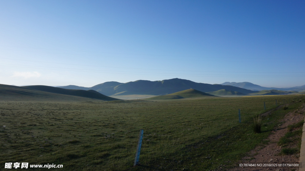 青海草原风光