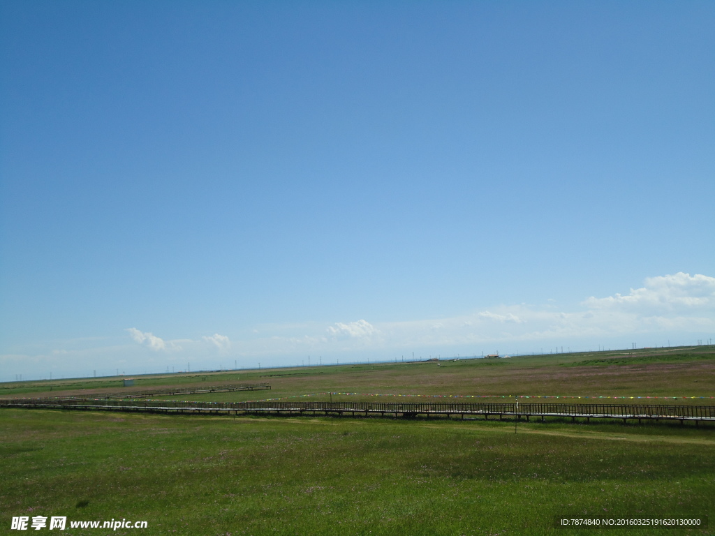青海草原风光