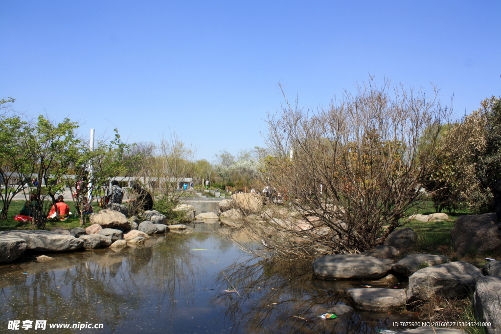公园风景树木 水游玩