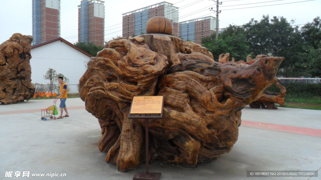 世界名木博览园