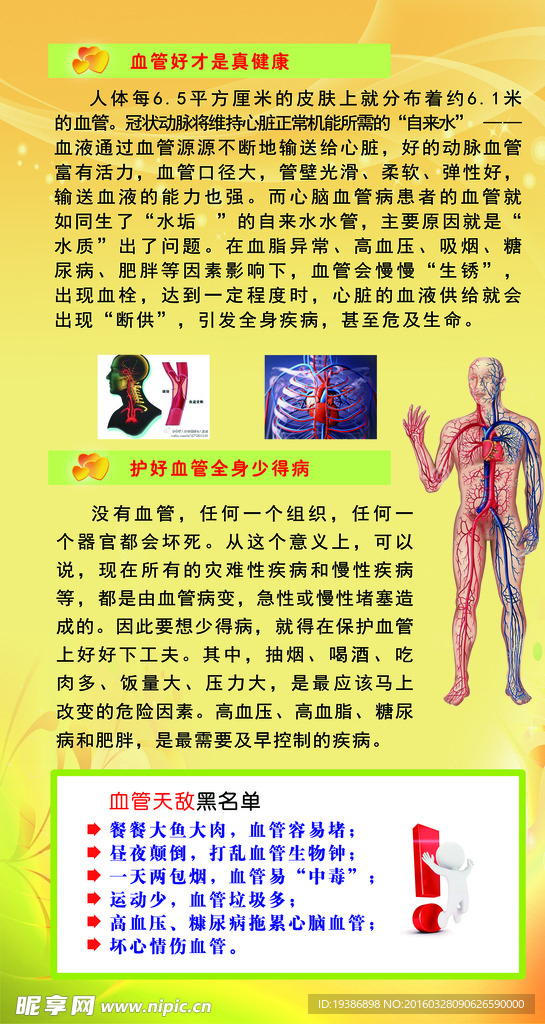 养身  血管保护展板