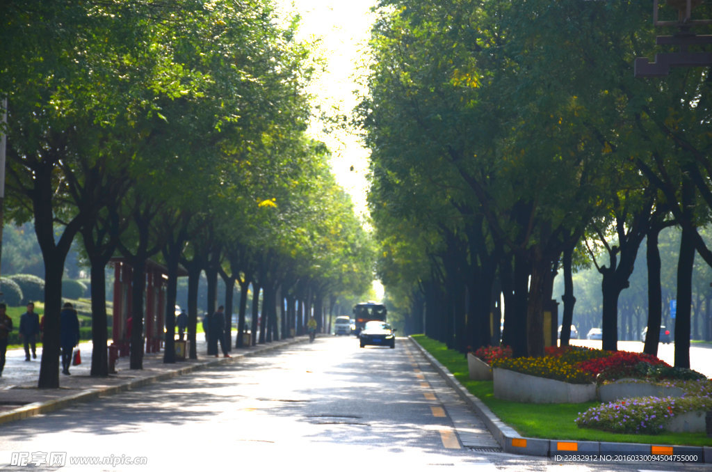 西安大唐不夜城