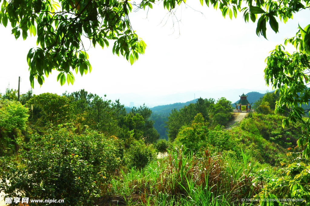 山水 知青纪念亭