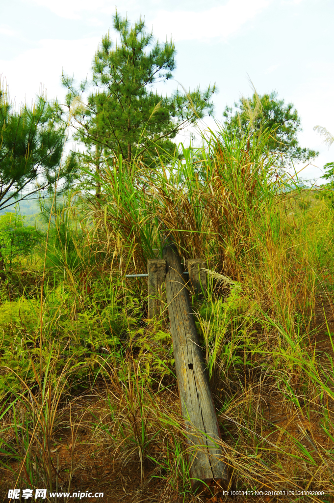 森林体育旧址 跷跷板