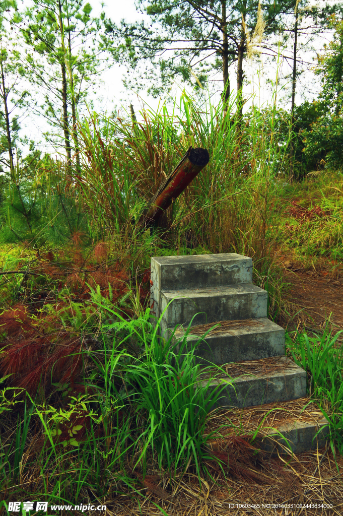 山顶体育 跷跷板