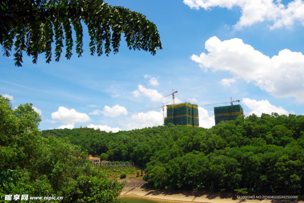 城市风光 森林建筑