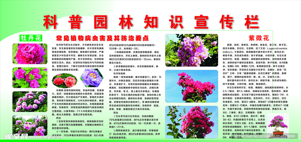 园林知识宣传栏