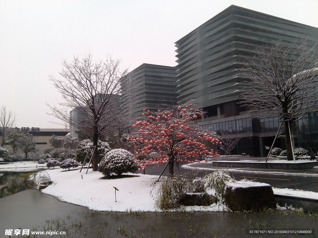 园区雪景