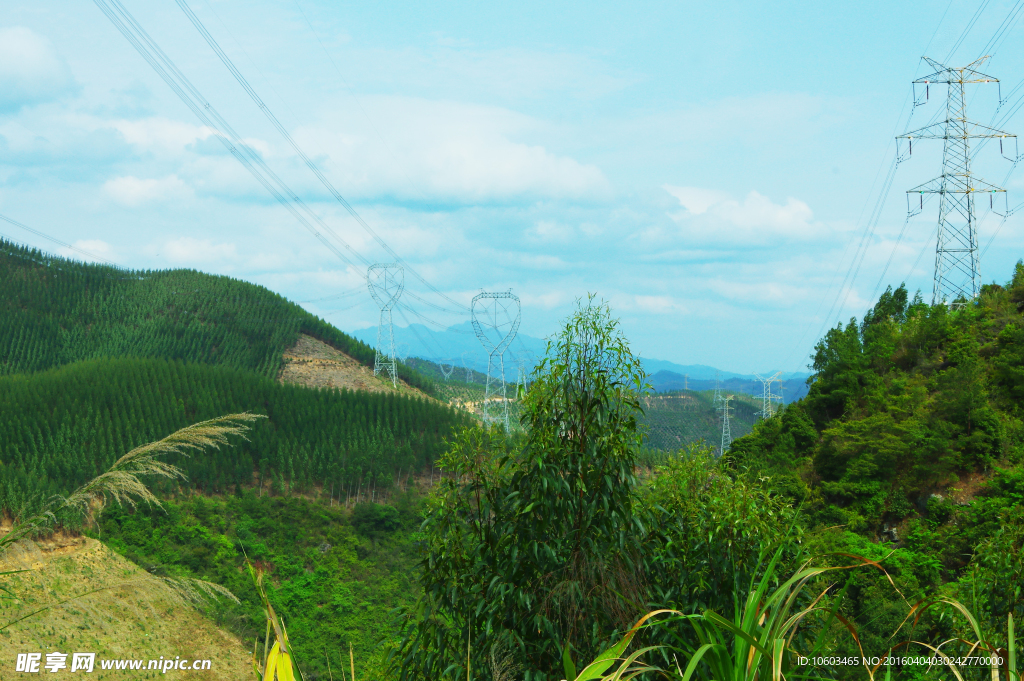 山岚电力 青山绿化