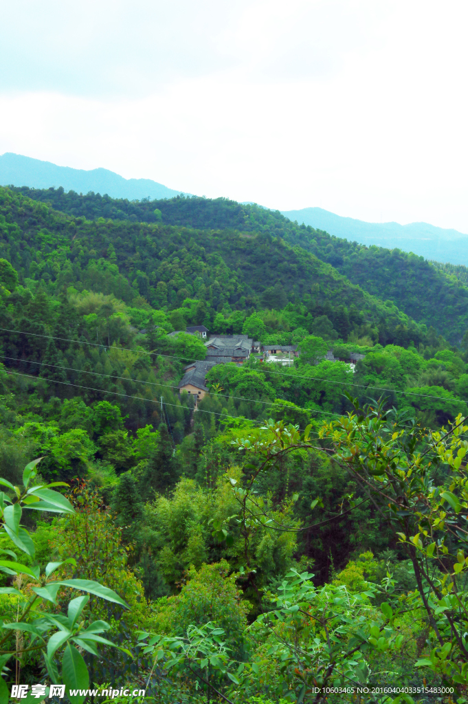 森林人居 中国山水