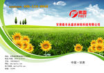 甘肃泰丰永盛企业画册