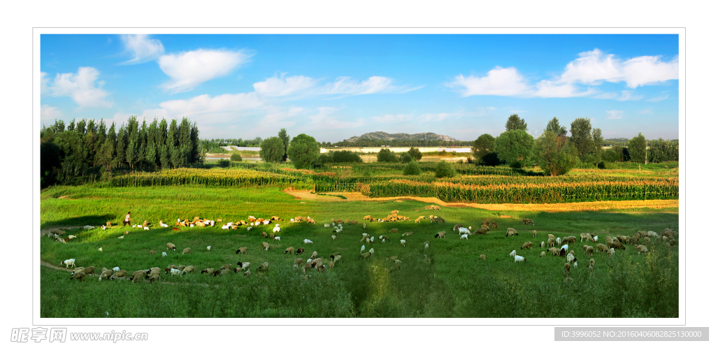 母亲河畔牧羊曲