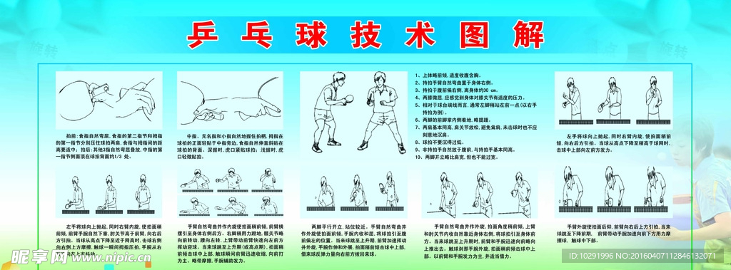 乒乓球展板