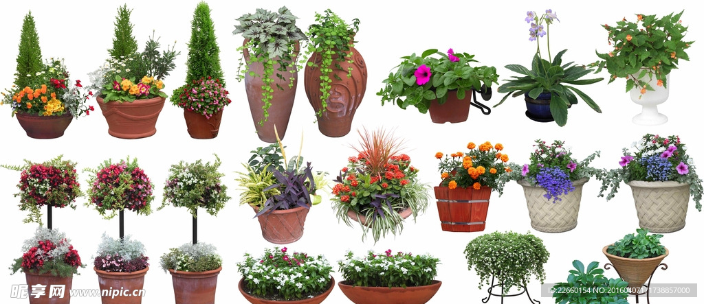 盆栽 花钵 植物素材