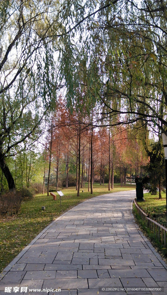 西安  城市运动公园