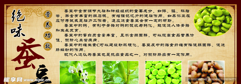 绝味蚕豆简介展版