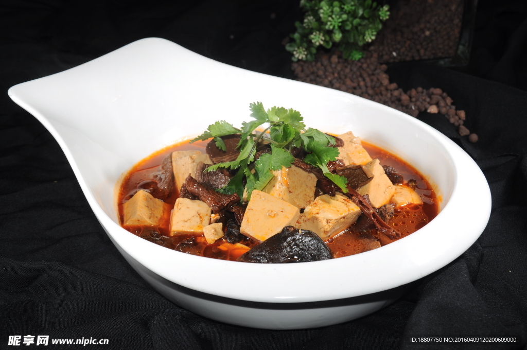 野生蘑菇烩豆腐