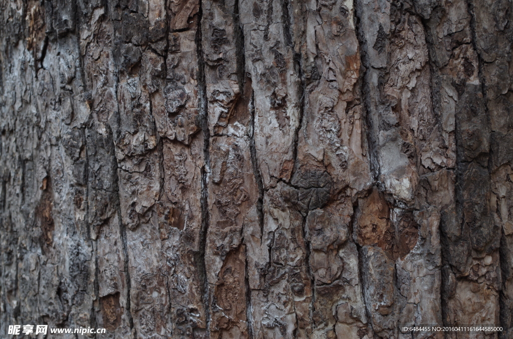 树皮拍摄树皮素材纹理