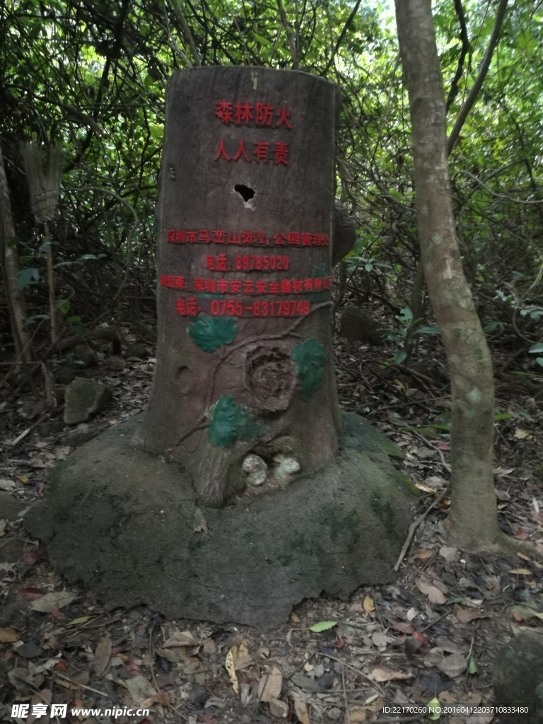 温馨提示牌 森林防火