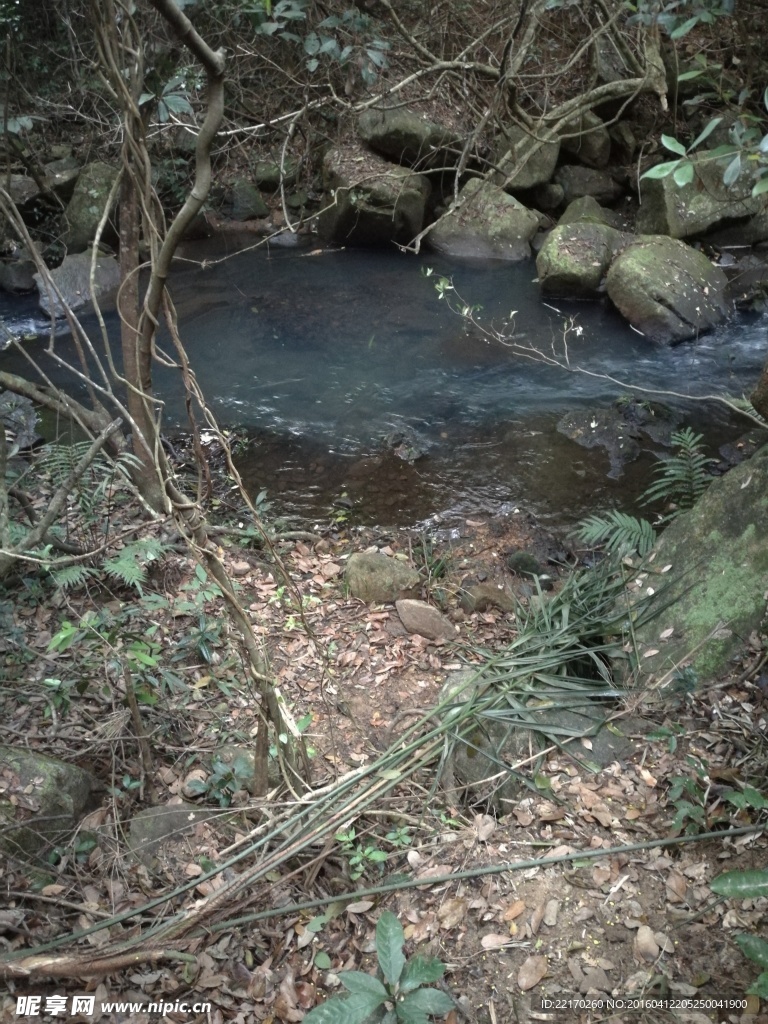 溪流 溪水 山泉