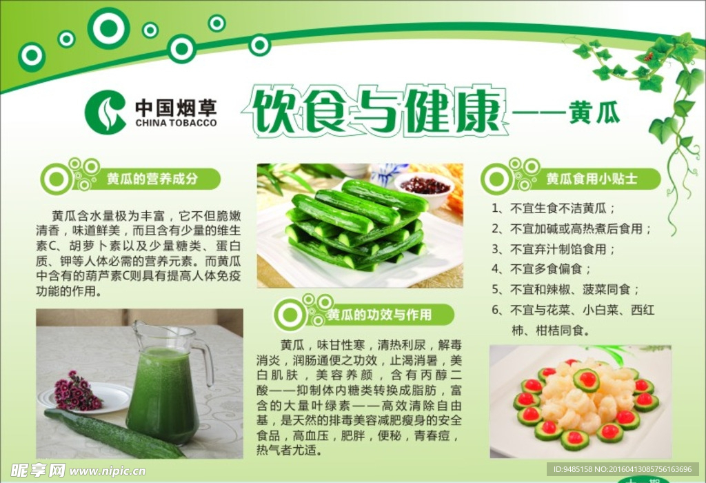 饮食与健康—黄瓜