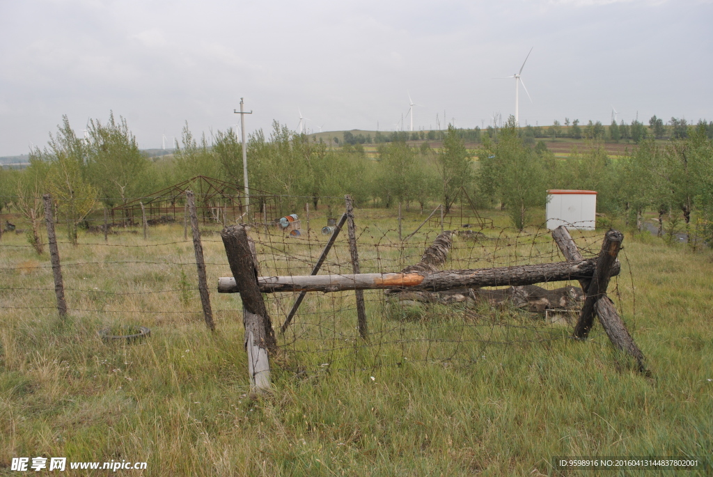 野狐狸景区铁丝网